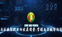 比特币与区块链技术的发展前景：掌握未来数字