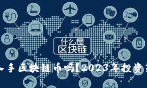 现在能入手区块链币吗？2023年投资策略分析