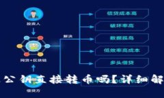 TP钱包能通过公钥直接转币吗？详细解析与使用指