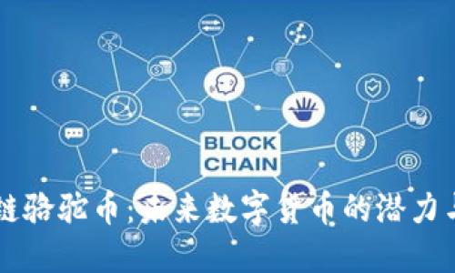区块链骆驼币：未来数字货币的潜力与应用