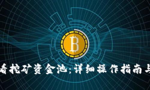 TP钱包如何查看挖矿资金池：详细操作指南与常见问题解答