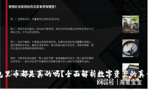 TP钱包里币都是真的吗？全面解析数字资产的真伪问题